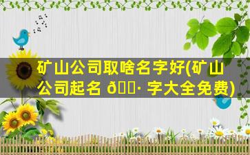 矿山公司取啥名字好(矿山公司起名 🌷 字大全免费)